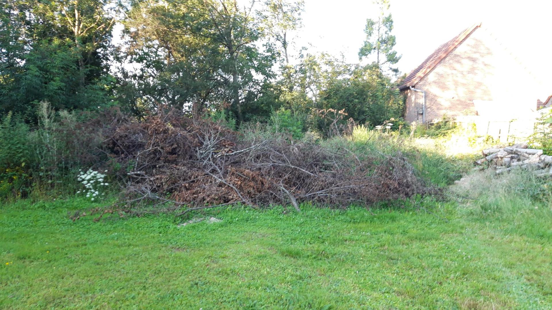 Dépôt déchets verts sauvage derrière l'église sur terrain privé - M. GUITTON Gros tas de déchets verts de types branchages déposés sur terrain privé derrière l'église